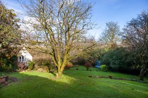 Garden (1)- click for photo gallery